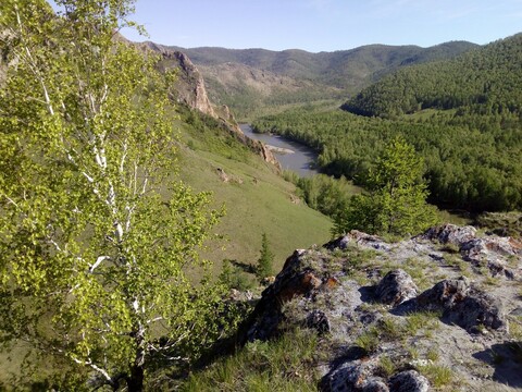 Семейное дерево