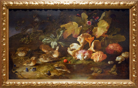 Паоло Порпора. Натюрморт с грибами