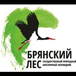 Заповедник&nbsp;«Брянский лес»