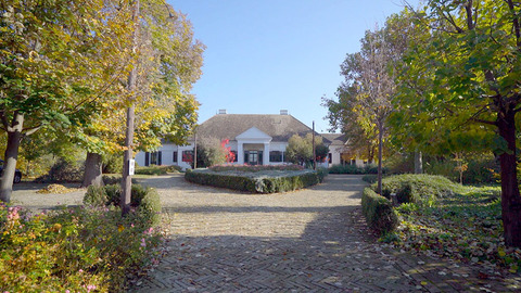 Apponyi-kastély, Medina