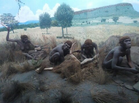 Diorama