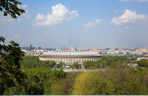 Лужники