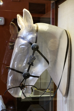 Реконструкция конского убора из скифского царского кургана Козёл