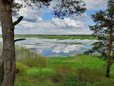 Слияние Ваги и Северной Двины