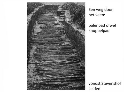 Palenpad Stevenshofpolder