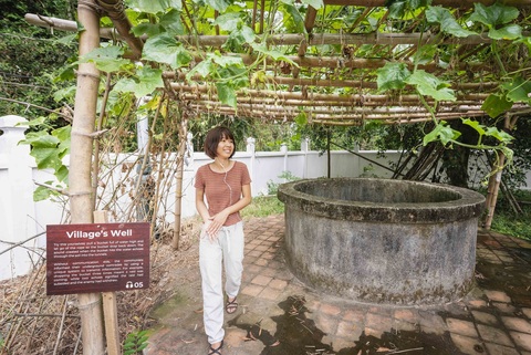 [optional] Village's well