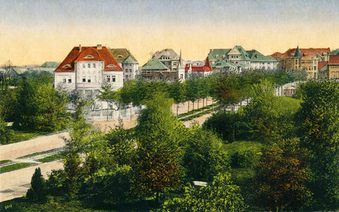 Амалиенау - начало