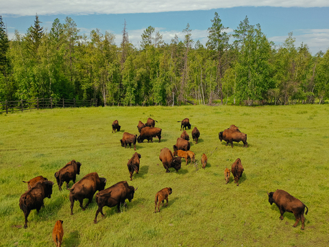 Знаковые места на пути к нацпарку