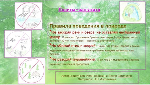 Коллективный Кодекс поведения в природе