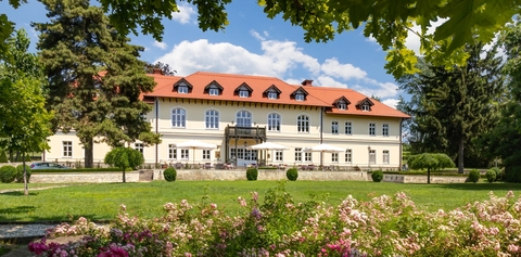 Gróf Degenfeld kastély, Tarcal