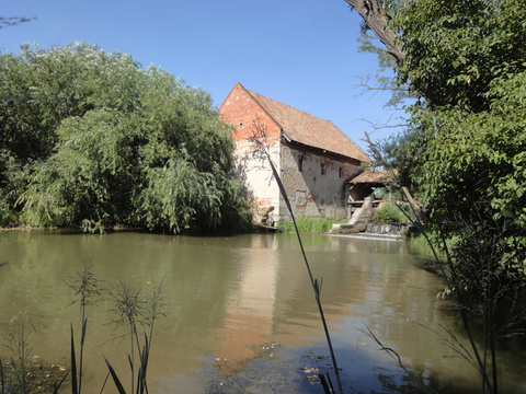 Vízimalom, Gyóró