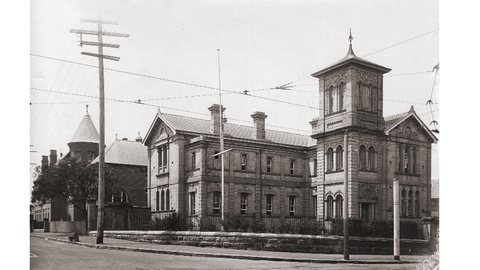 Norton Street History Walk