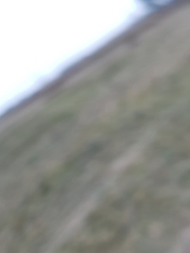 Tussen Lucht en Natuur