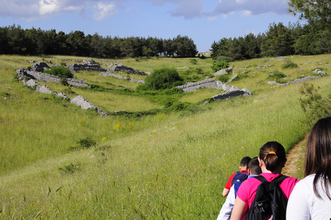 Santeramo e dintorni