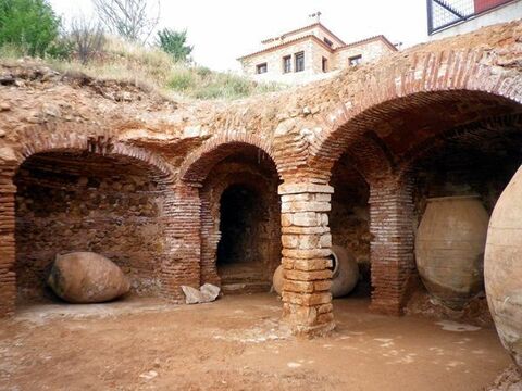 El Cocedero y la Vid