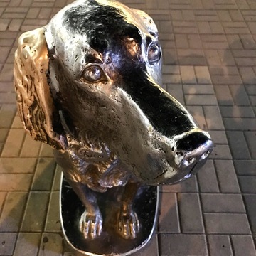 Памятник Биму. г. Воронеж, проспект Революции, 50