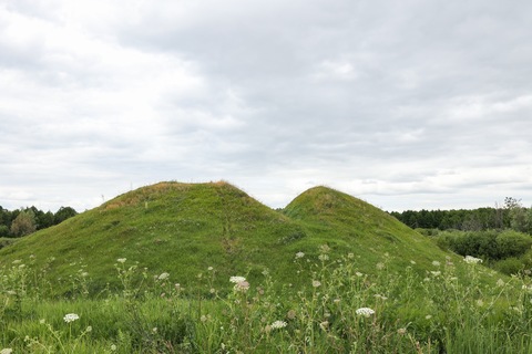 Именьковское городище