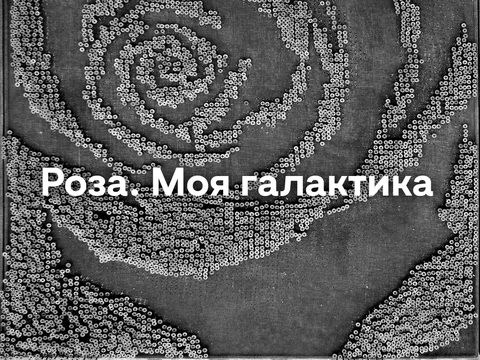 Роза. Моя галактика