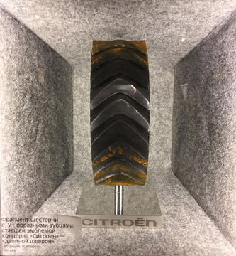 Фрагмент шеврона