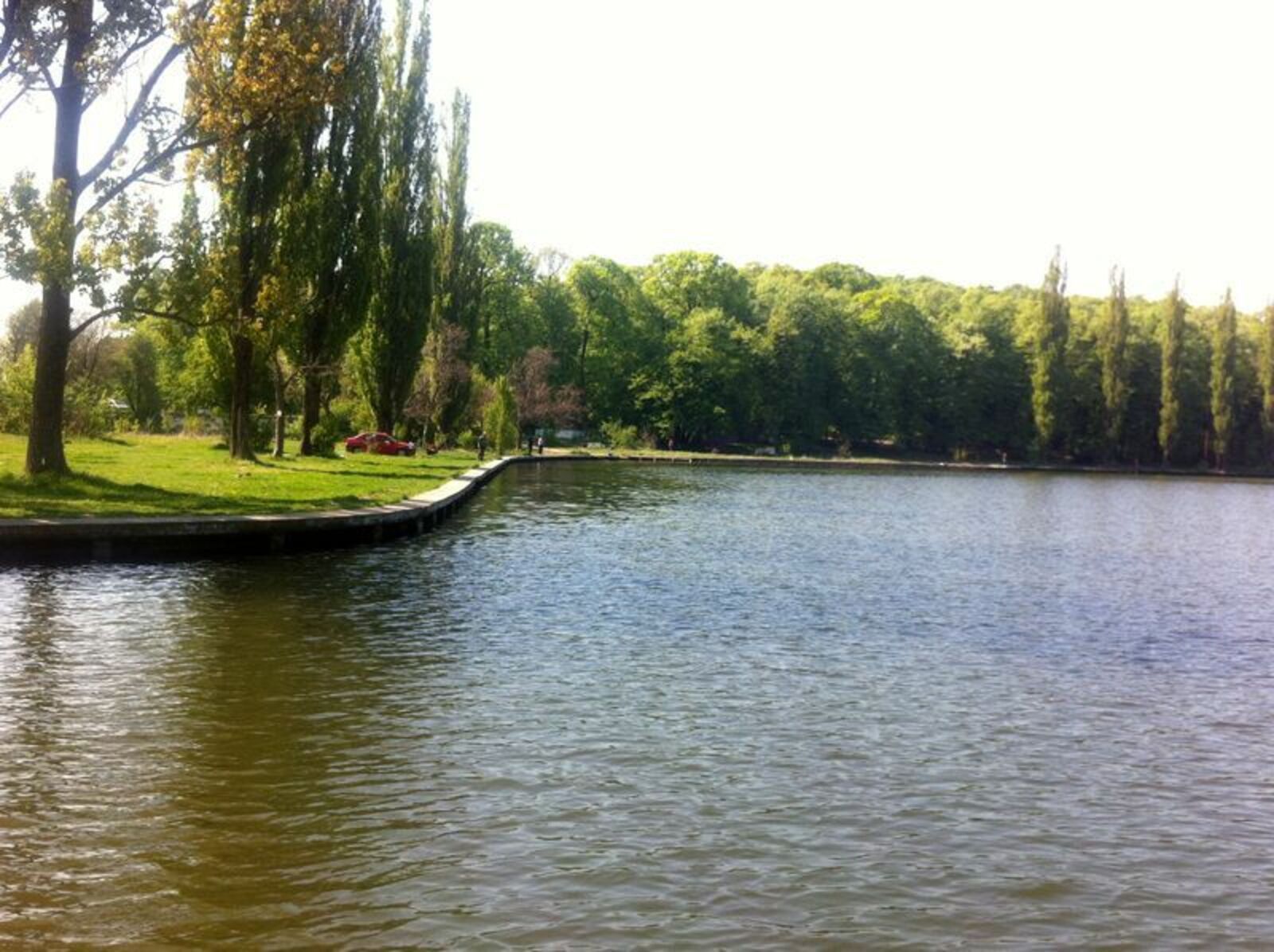 Coada lungă / Coada morților