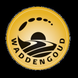 Waddengoud