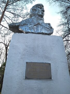 Бюст Лизы Чайкиной