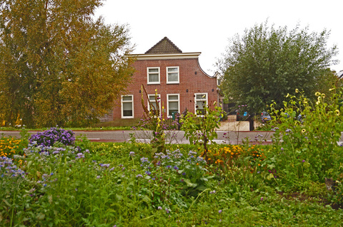 Limesweg achter Zuidzijde 40