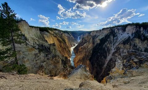 Артист-поинт