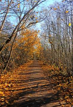 Толбухинская коса