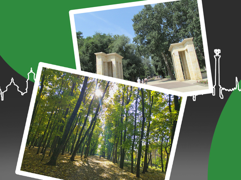 Зеленые музеи воронежского правобережья