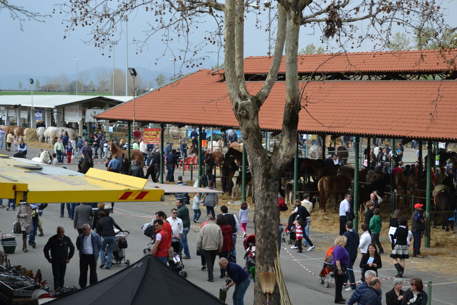 Foro Boario ed il mercato