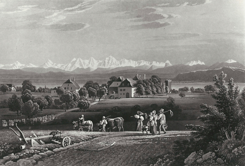 La Tène / Balade Mémoires et bâtiments