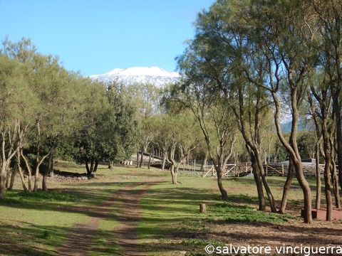 Adrano, Case Pastori - Bosco Prato Fiorito