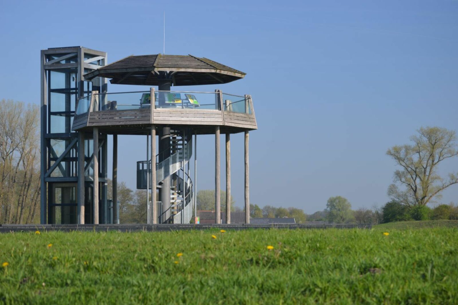 Loozensche Linie