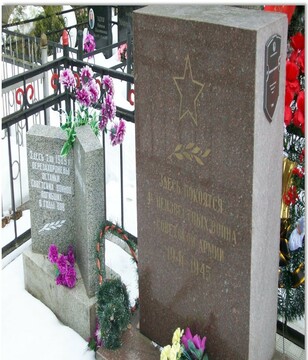 Памятники на территории Чижовского кладбища