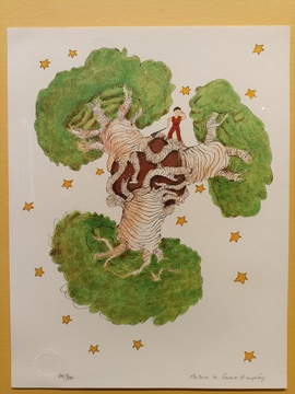 5. Маленький принц и баобабы