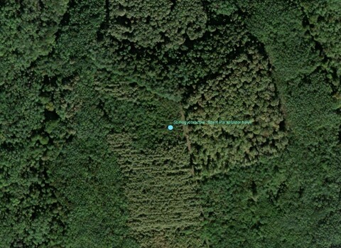 Szent Péter kolostor helye, Pogányszentpéter