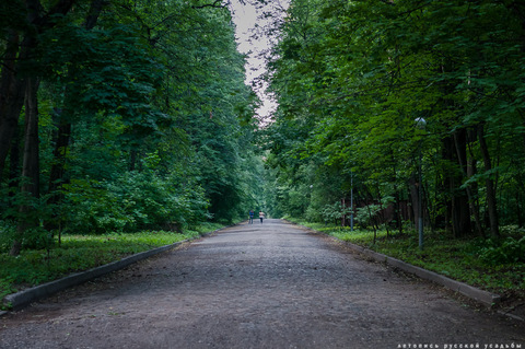 Императорская аллея