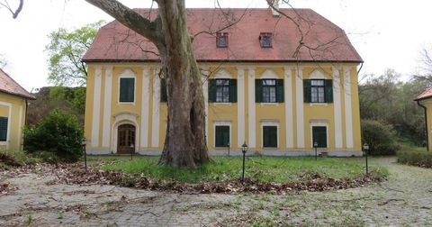 Lichtenstein kastély, Hőgyész