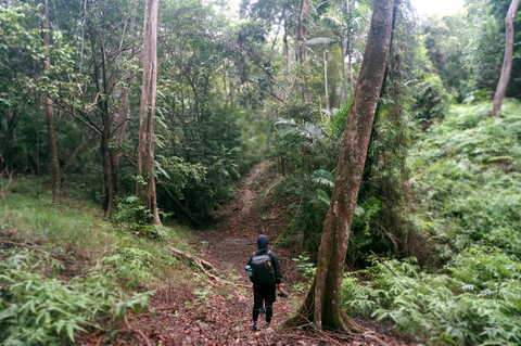 Bukit Batu Bujang Pahang