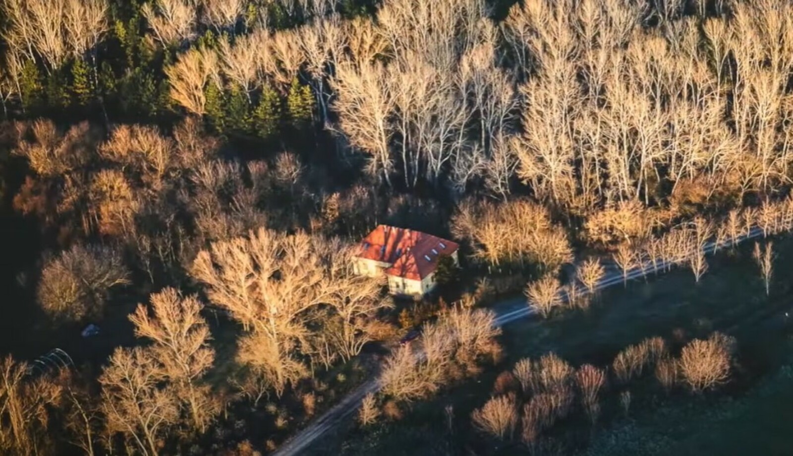Ludastói iskola (vaisnava kolostor), Helvécia