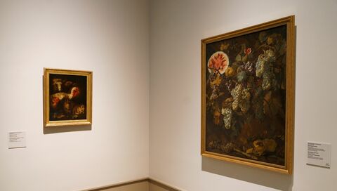 Микеланджело Черквоцци. Виноград и арбуз