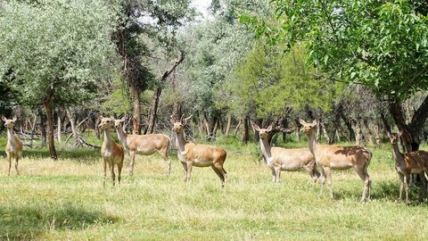 Зарафшанский национальный природный парк