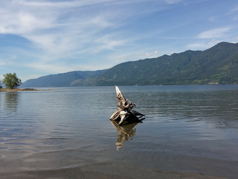 Алтайский государственный природный заповедник