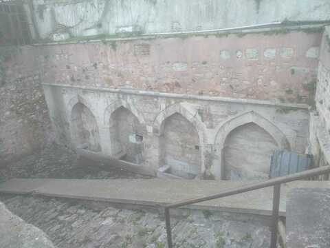 Трибуны "зелёных"