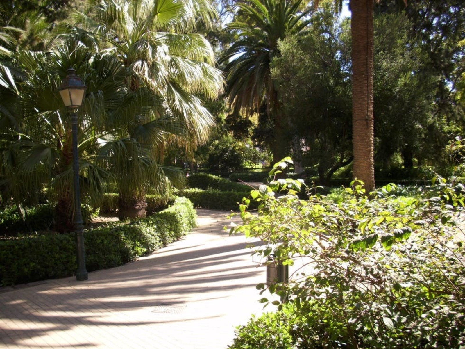 Jardín de Ayora
