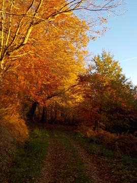 Le Sentier Découverte