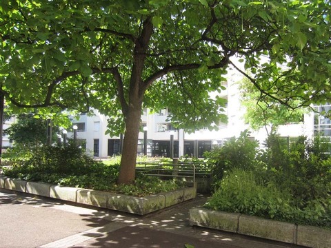 丹尼尔斯特瑞波了木偶剧院, 65 号丝绸纺织工大道   boulevard des Canuts