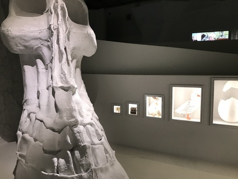 Мария Трегубова «Жизнь Кащея»