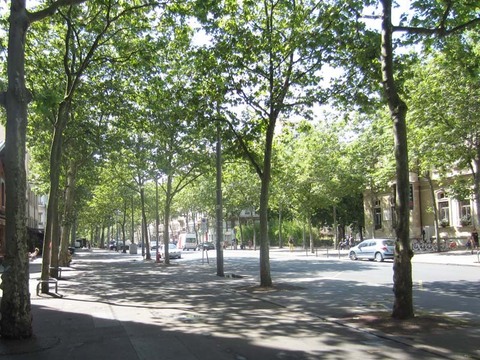 红十字大道boulevard de la Croix-Rousse
